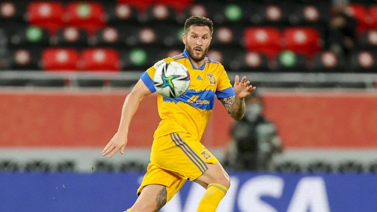 Klub-WM-Gegner im Porträt: UANL Tigres