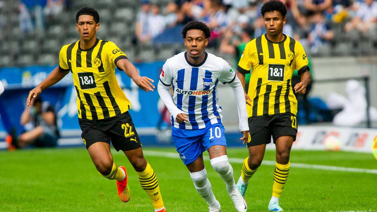 Hertha-Star nach Hodentumor zurück