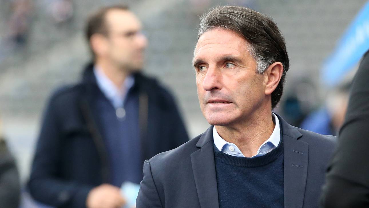 Hertha-Endspiel für Labbadia?