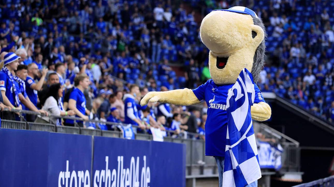 Punktabzug? Entscheidung bei Schalke