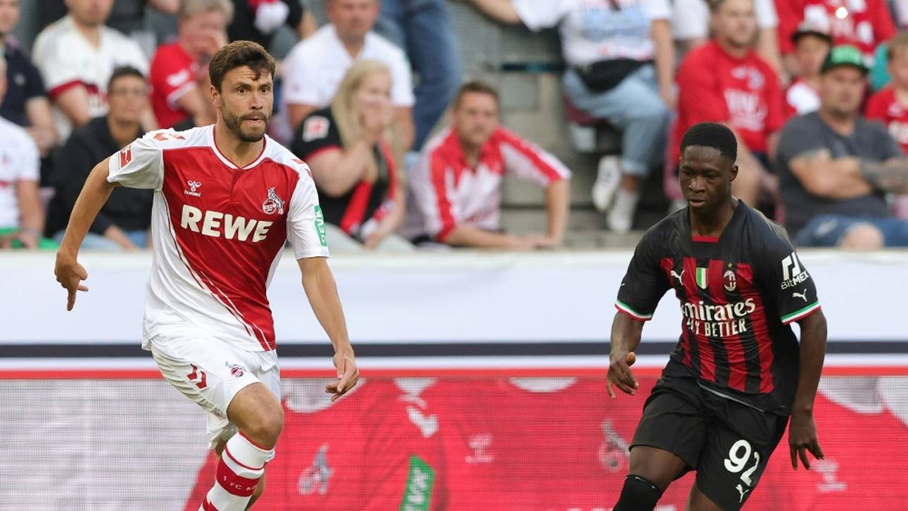 Baumgart baut wieder auf Hector