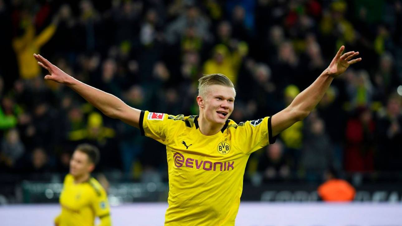 Was Haaland mit Vögeln bespricht