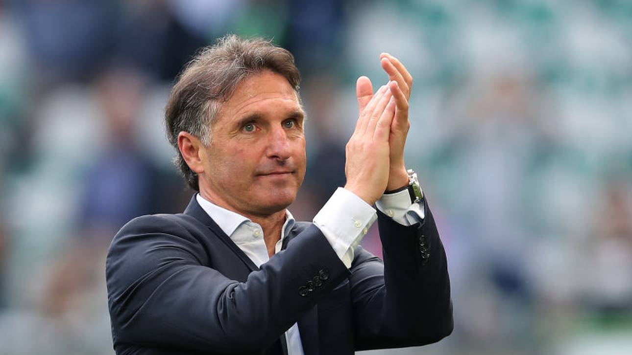 Darum setzt Hertha auf Labbadia