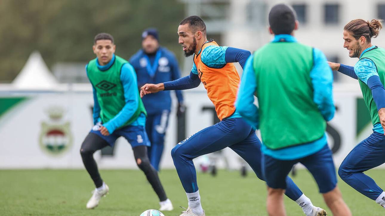 Schalke begnadigt Problem-Profi