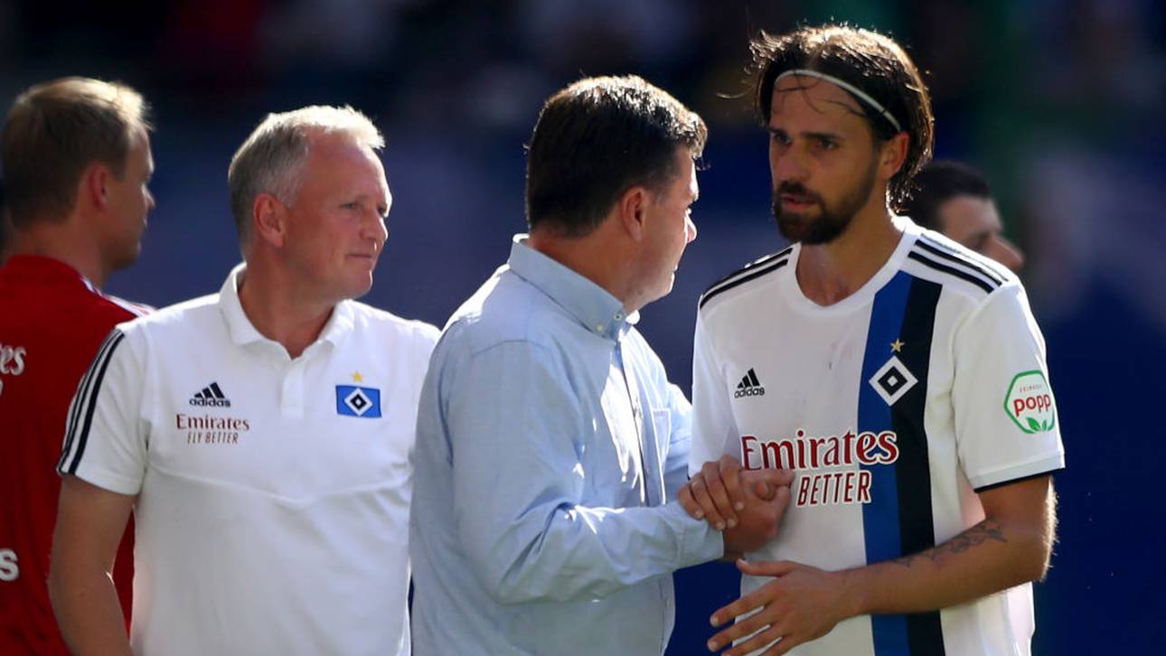 Torjäger Harnik fehlt HSV weiter