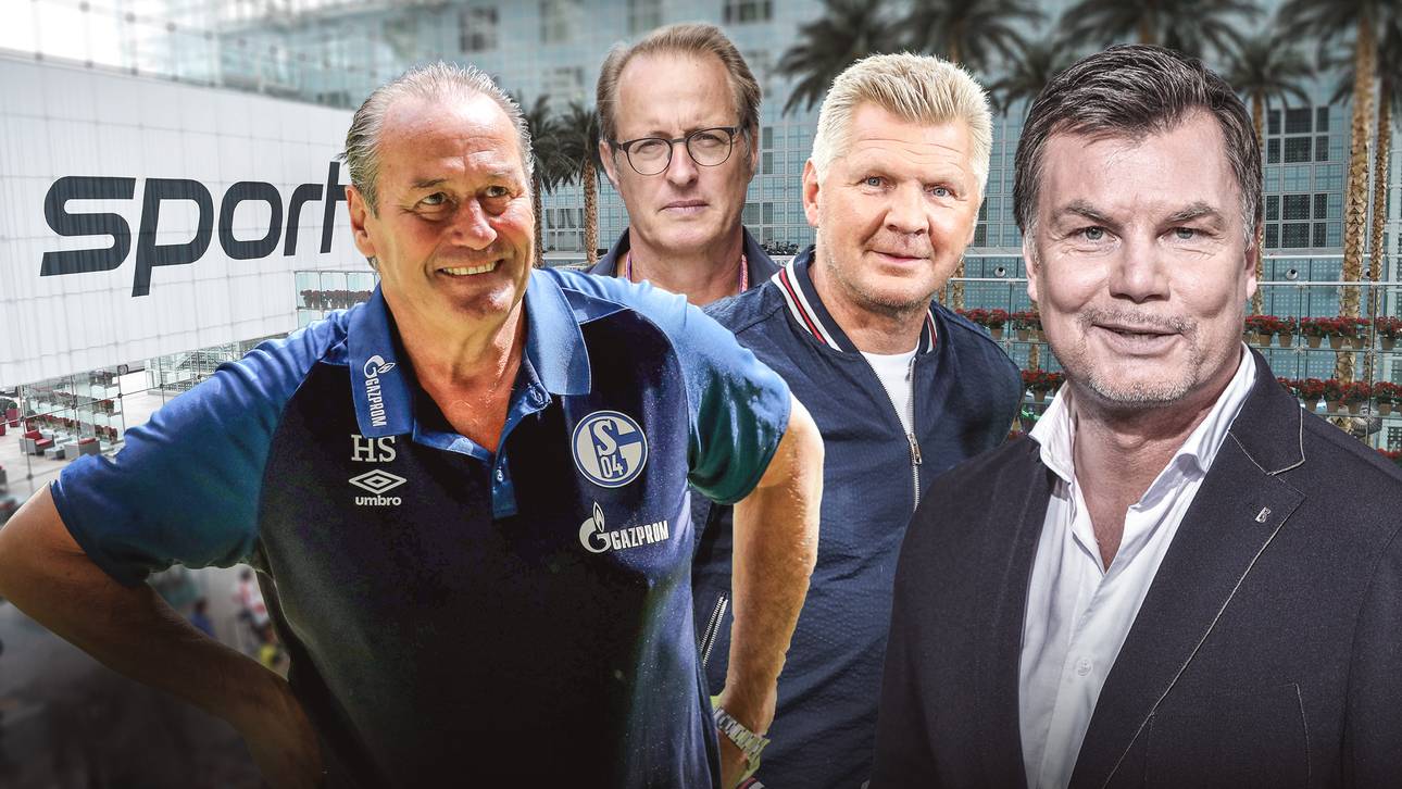 Doppelpass mit Stevens und Effenberg