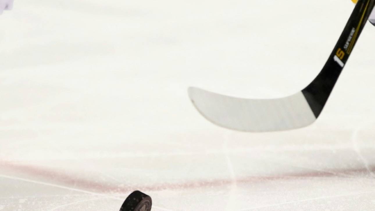 Quotienten-Regelung in der DEL2