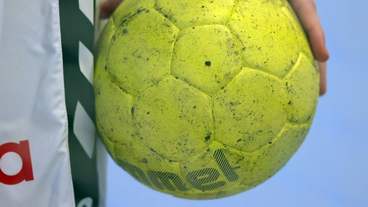 Löwen verpflichten Nationalspieler