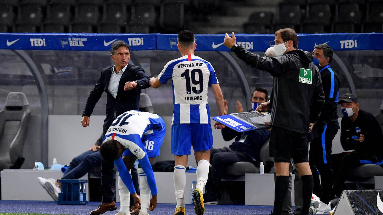 Ibisevic und der Labbadia-Effekt