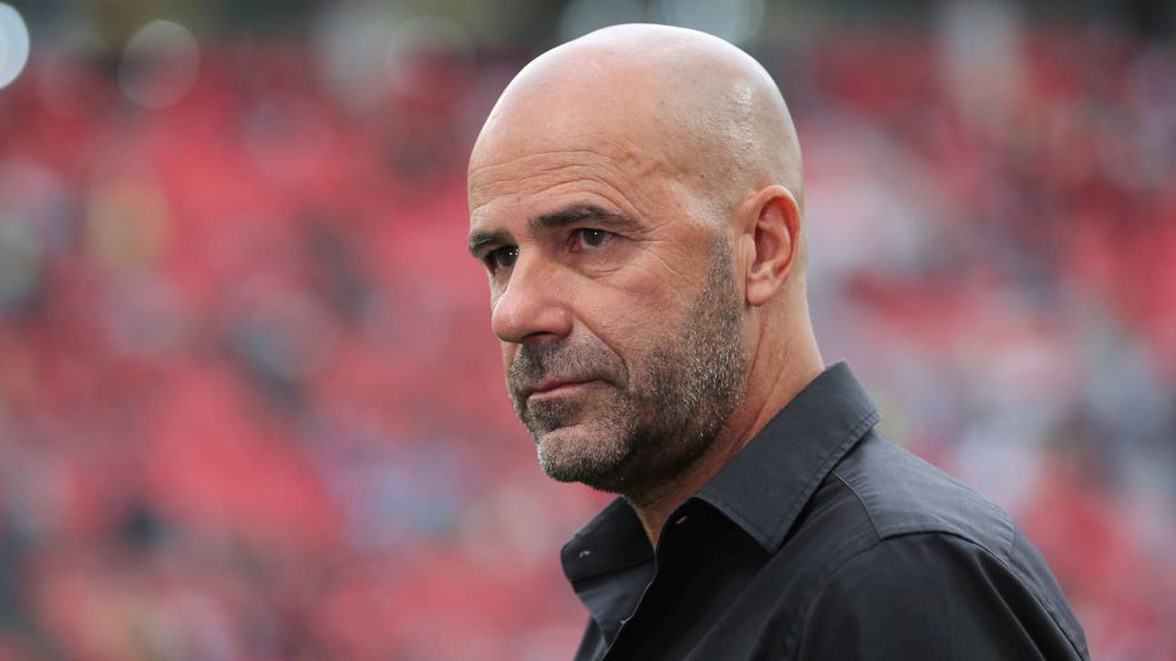 Bayer will mit Bosz verlängern