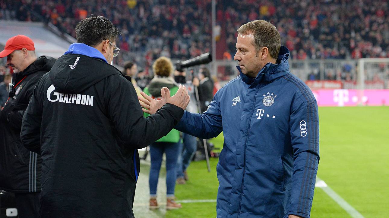 Kein Bayern-Alleingang auf Schalke