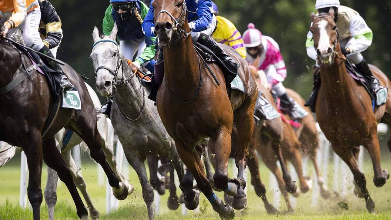 Todesdrama! Pferde überrannten Reiter