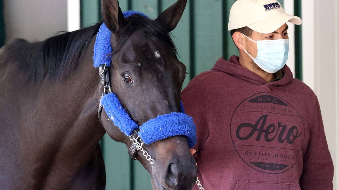 Vor Preakness: Hengst Medina Spirit besteht Dopingtest