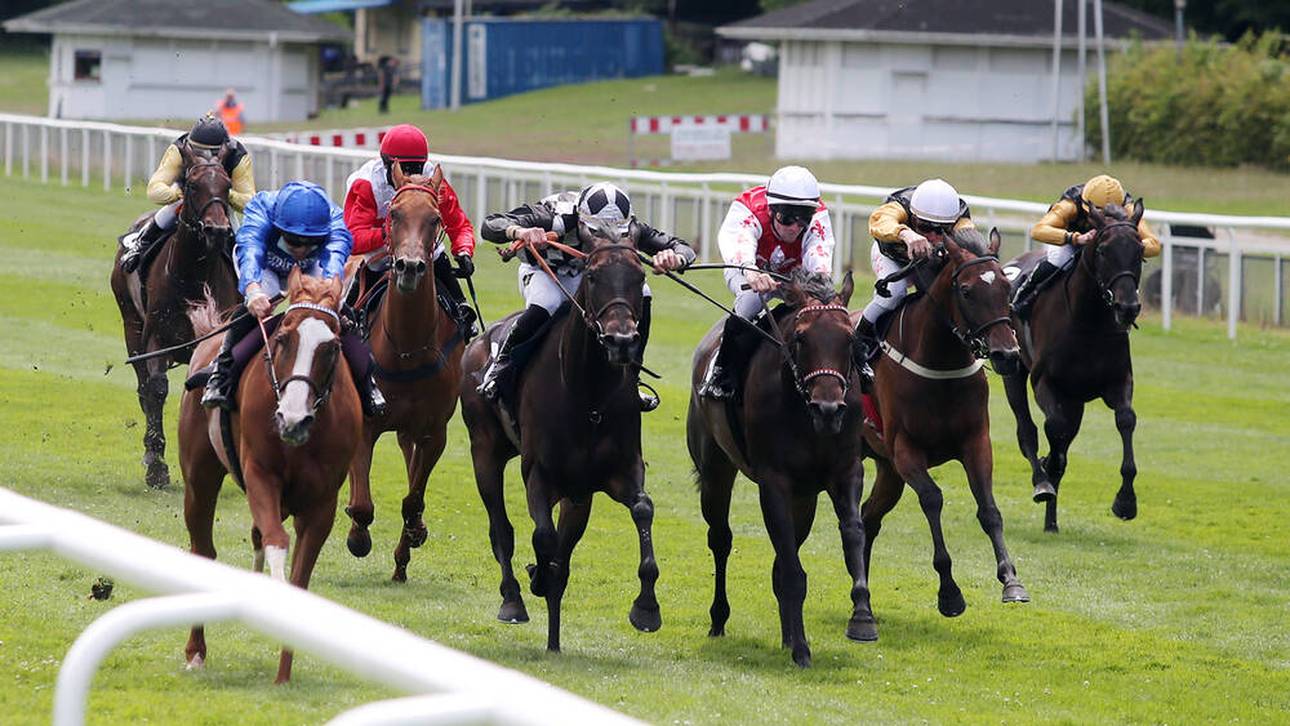 Stechen die Asse des Scheichs?