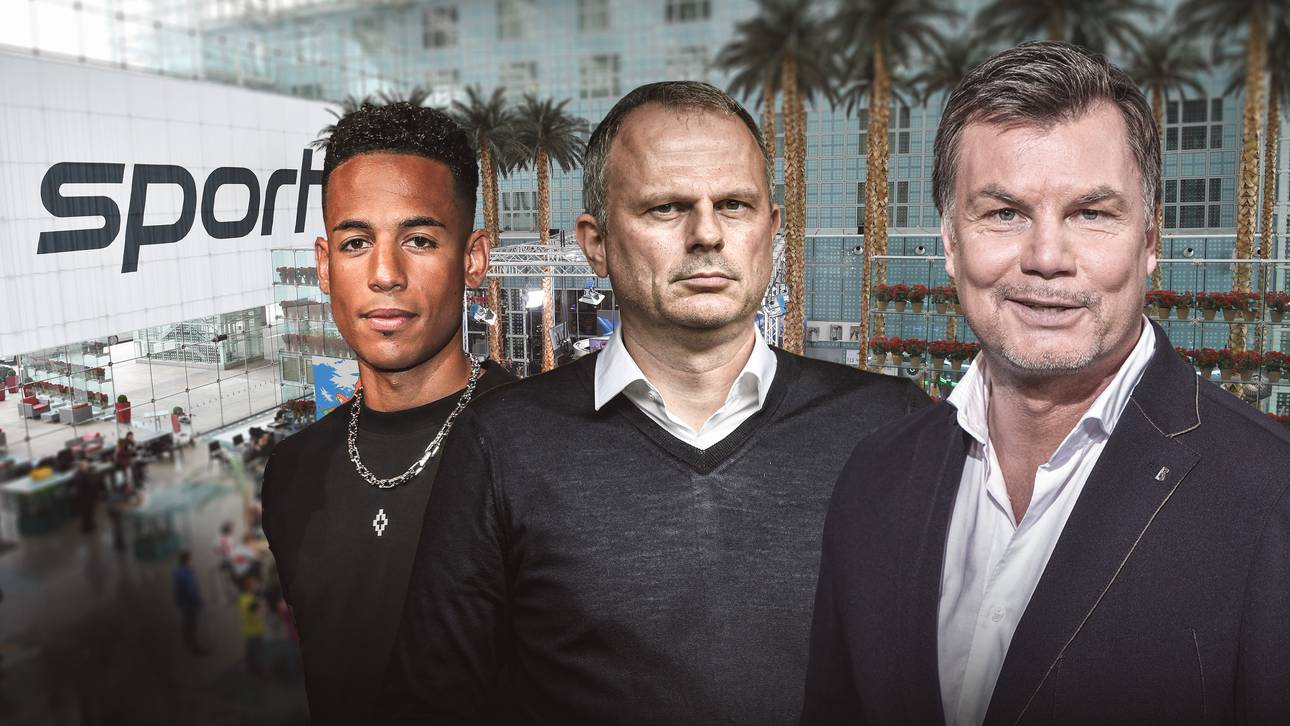 Aogo und Schneider im Doppelpass