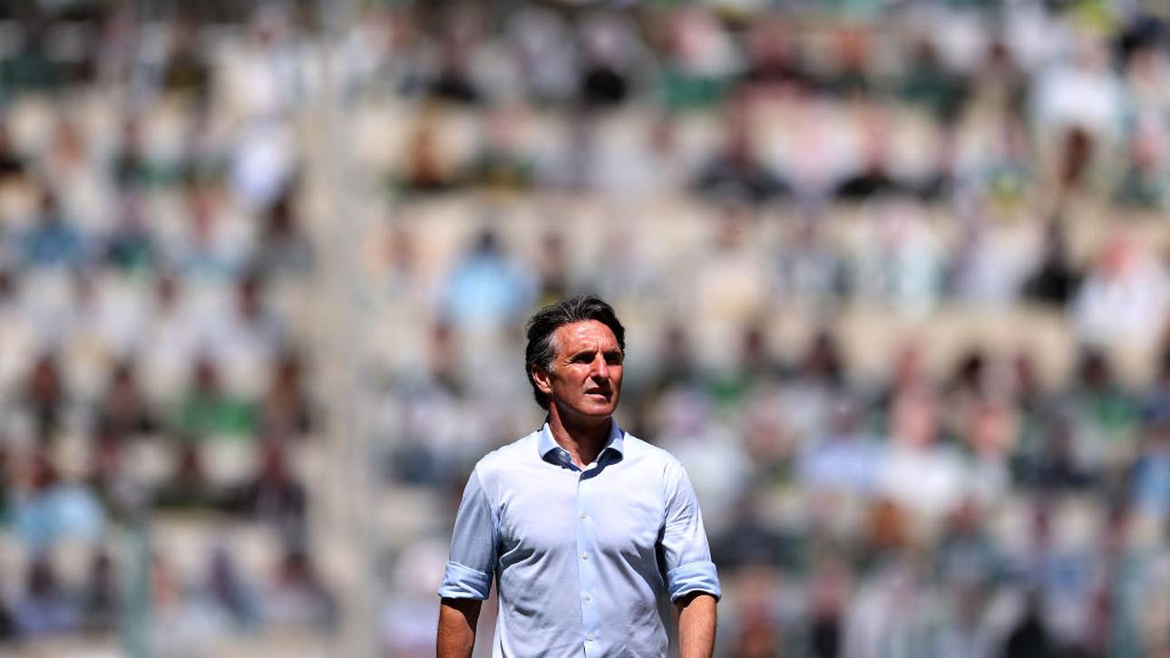 Labbadia bremst Hertha-Euphorie