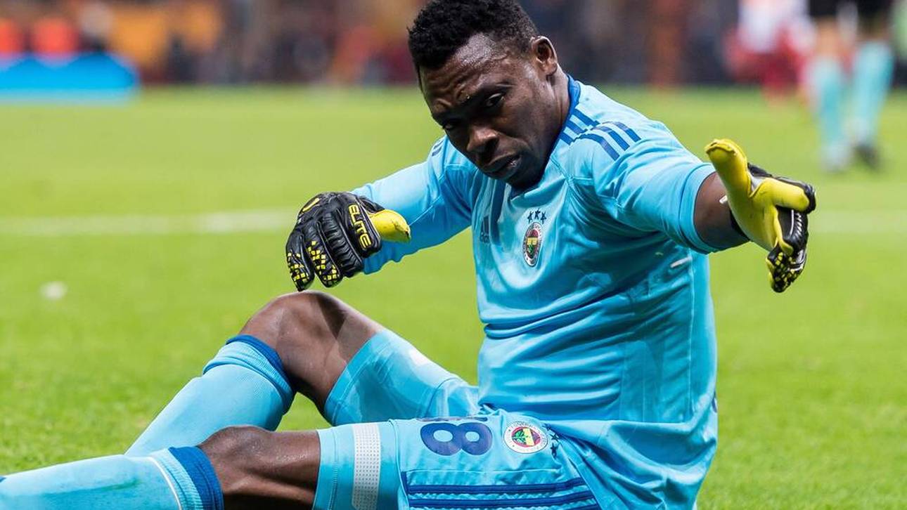 Kamenis unglaubliche Geschichte