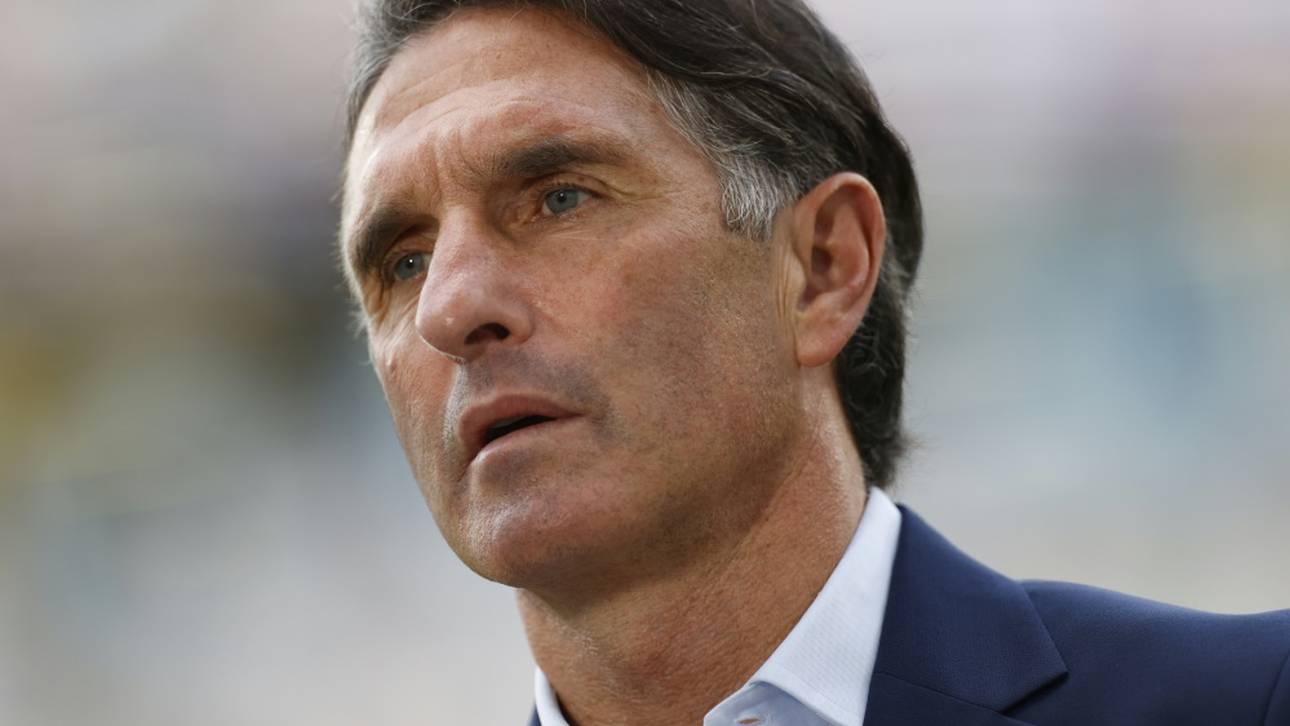 Labbadia schwärmt von Leverkusen