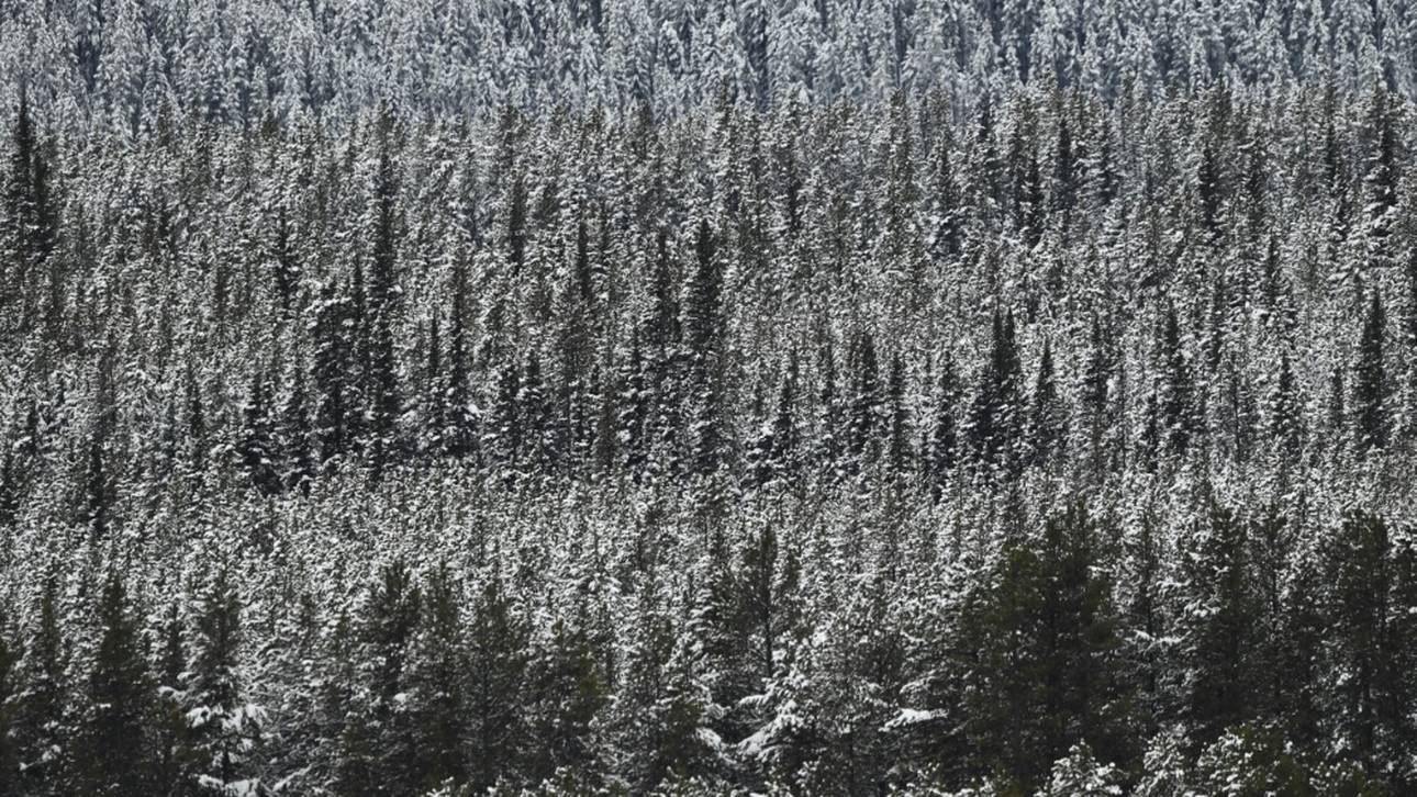 Auch Super-G abgesagt