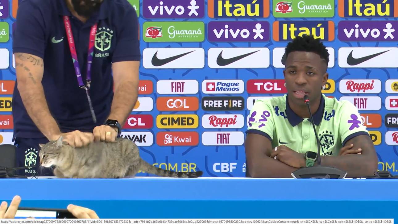 PETA-Kritik nach Katzenwurf