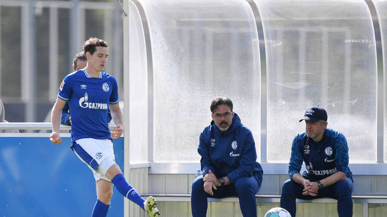 Schalke: Falsches Spiel mit Rudy