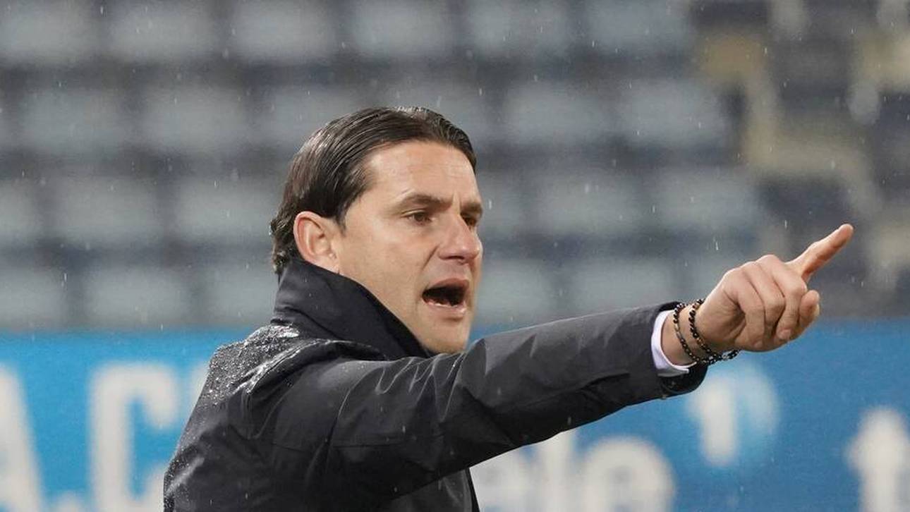 Rose-Erbe? Kandidaten äußern sich