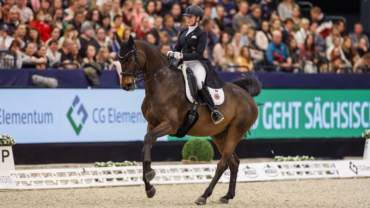 Startverbot! Dressur-Star geschockt