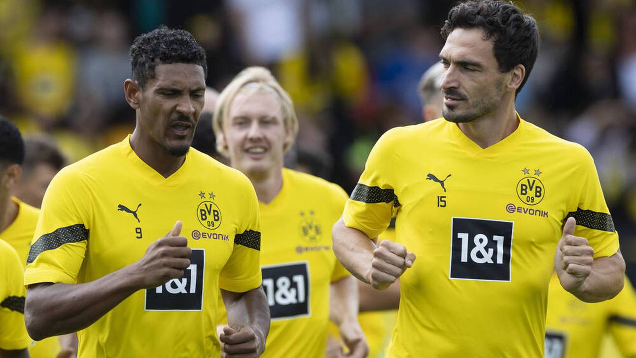 Wer nach Haller-Schock im Fokus steht