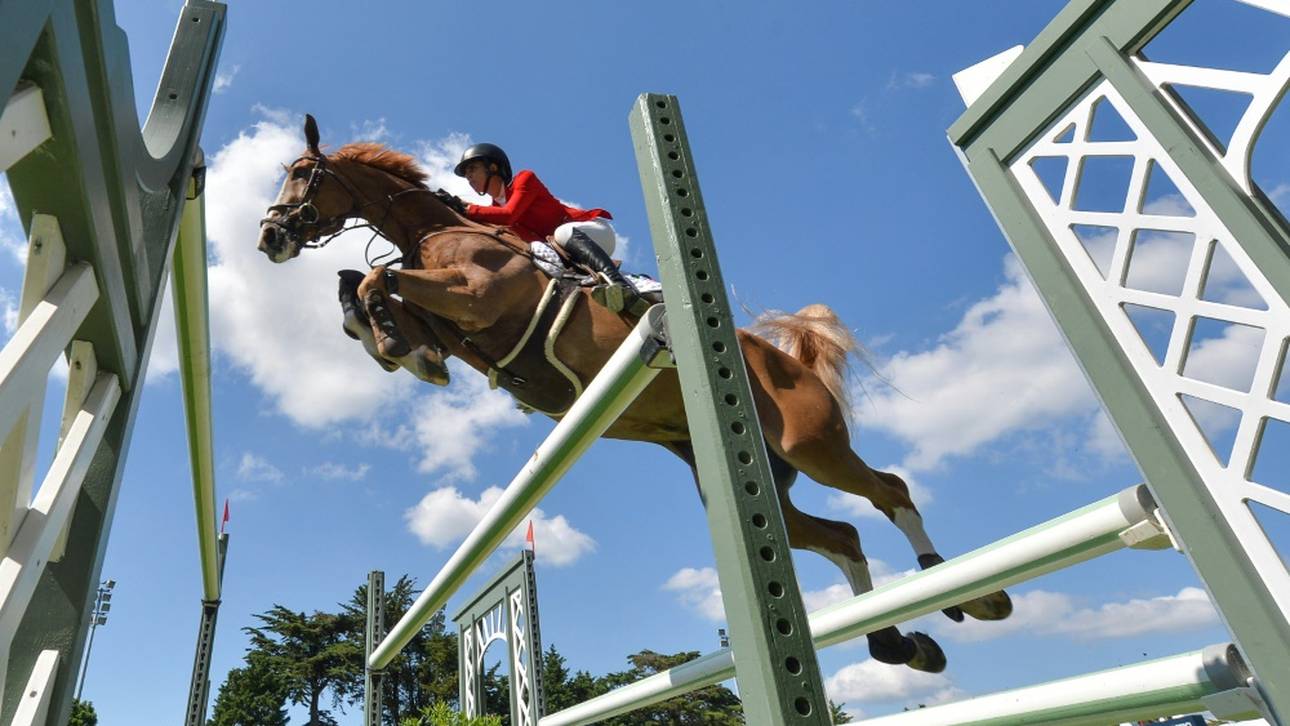 Blums Wunderstute droht Karriereende