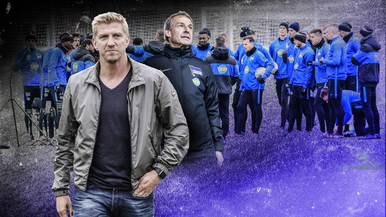 Rehmer: Klinsmann hat sich verbrannt