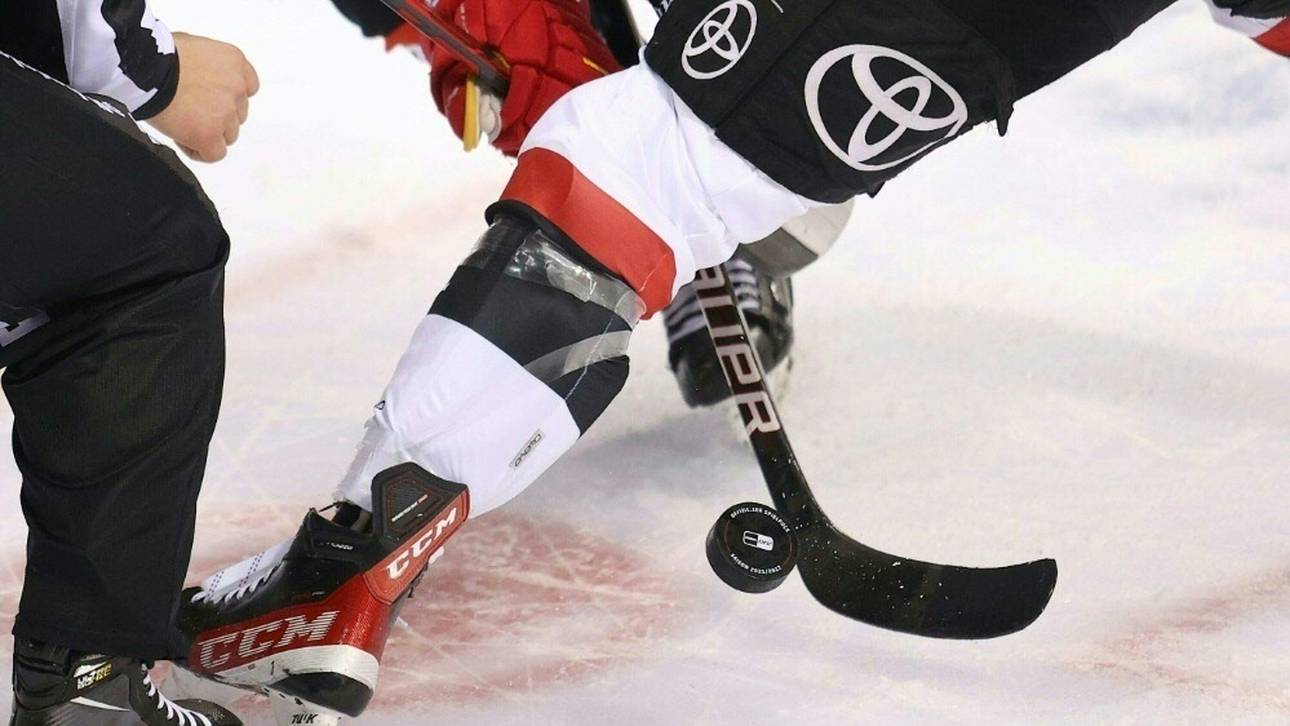 Eishockey: Hohes Ziel für deutsches Team