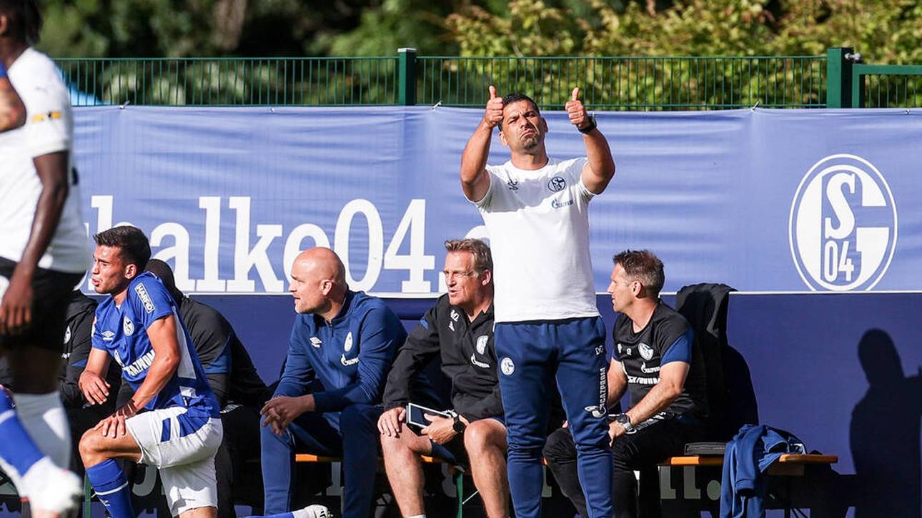 Schalke: Schubert muss wohl gehen