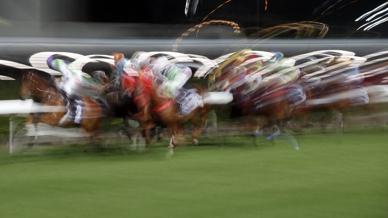 Zwei Pferde sterben bei Galopp-Drama