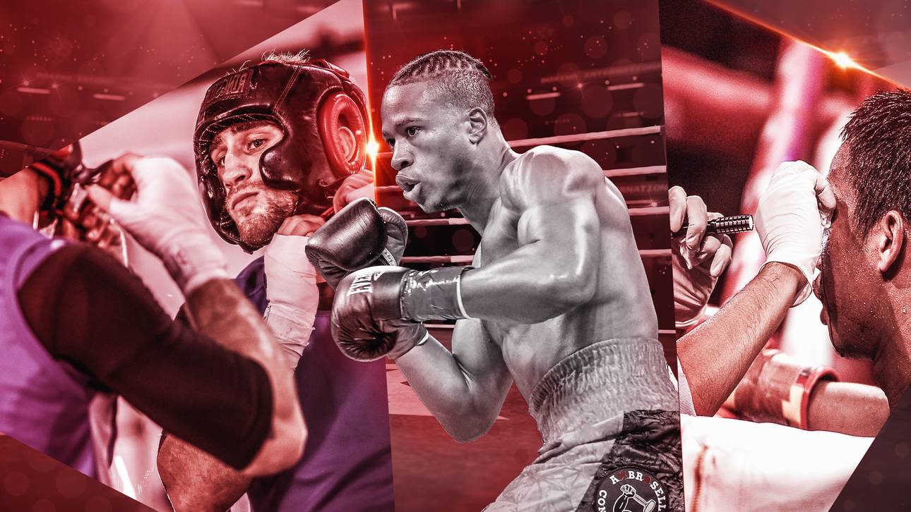 Konsequenzen nach Tod von Boxer Day