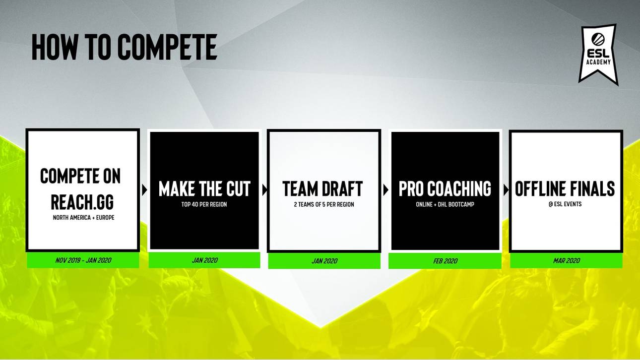 Dota 2 Academy