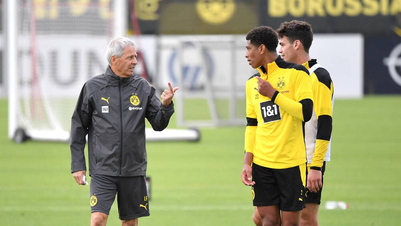 Die Probleme von Favres BVB