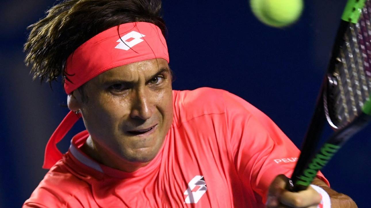 Ferrer neuer Spanien-Trainer