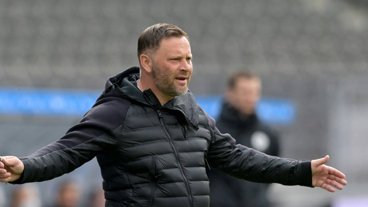 Dardai fehlt der Baumarkt