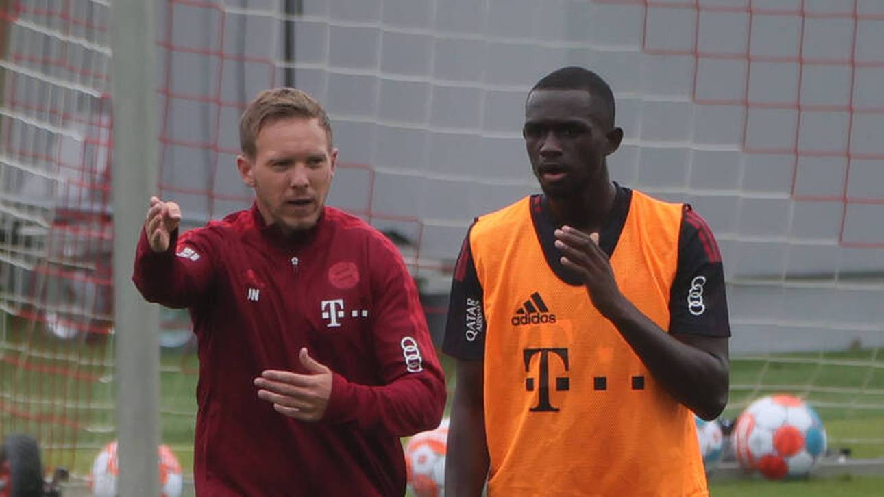 Nutzt Nianzou seine große Chance?