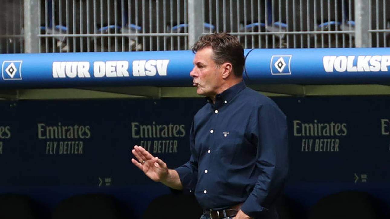 So begründet Hecking sein HSV-Aus
