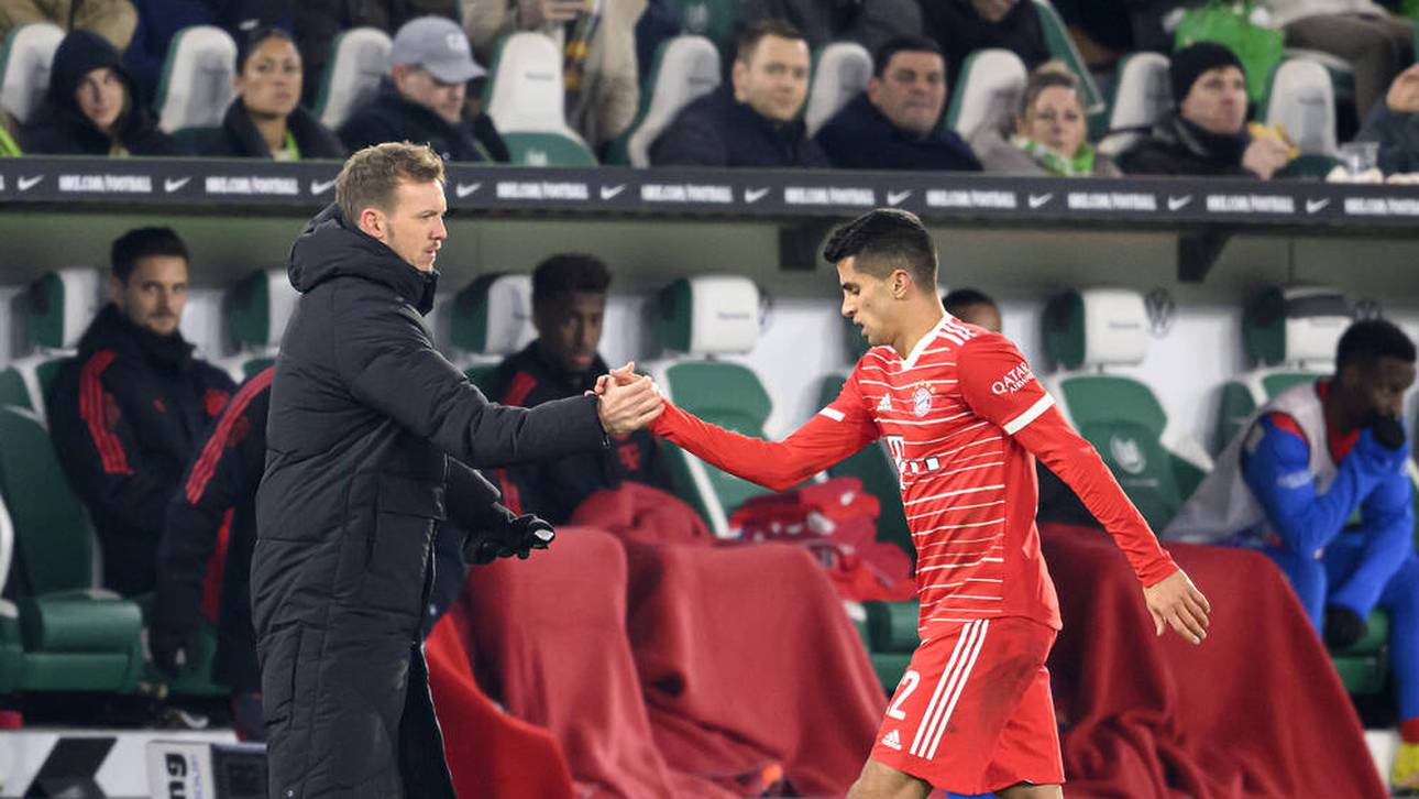 Bayerns neuer Schwarm