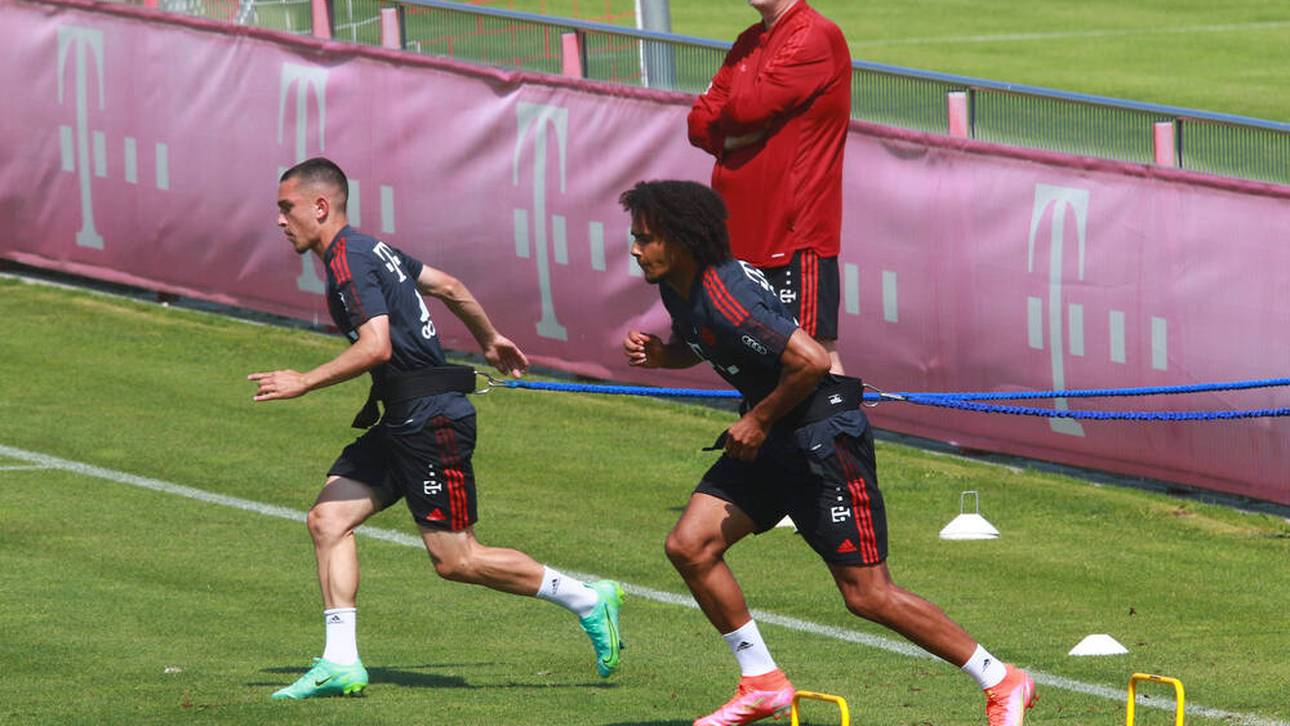 Bayern gibt Ibrahimovic langfristigen Vertrag