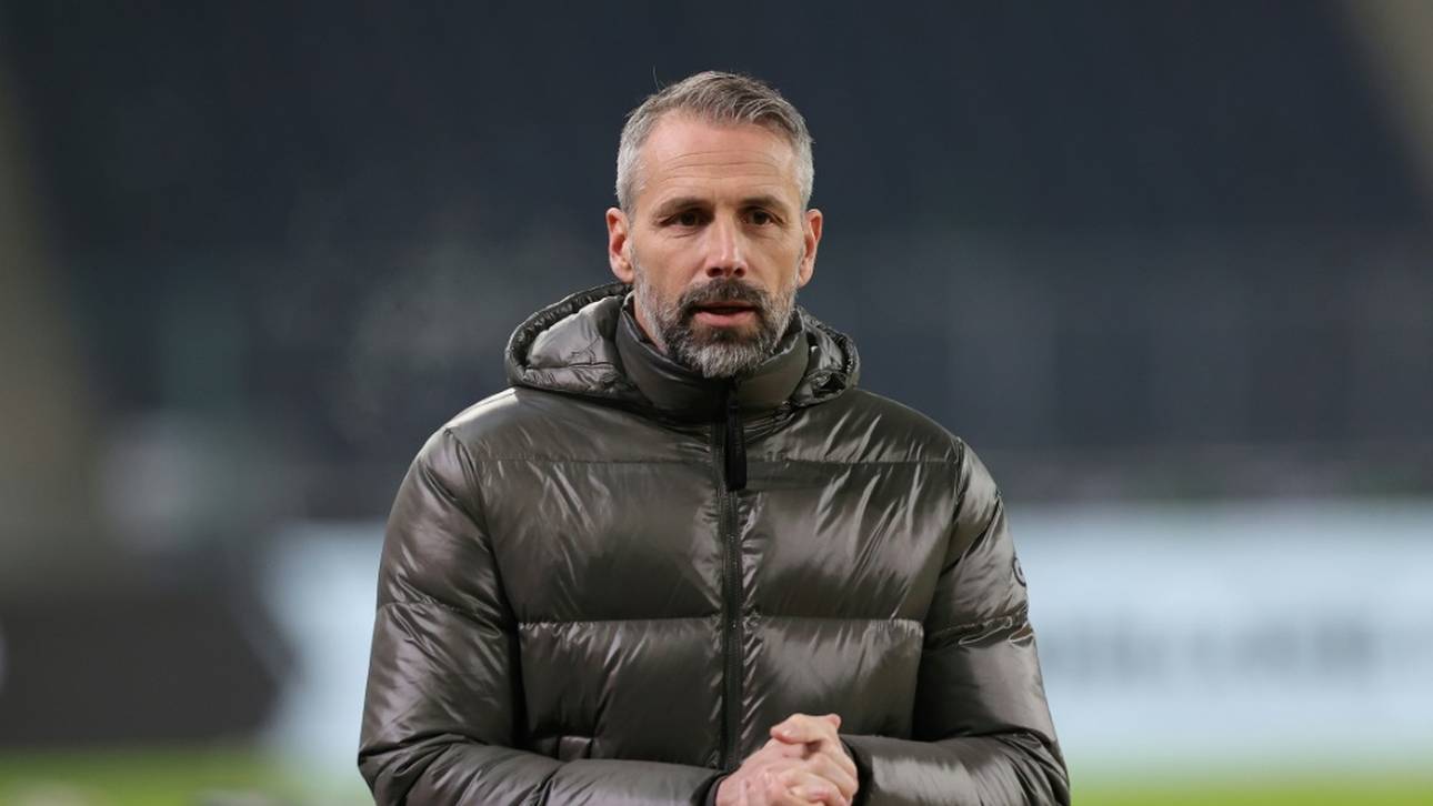 Trainer Rose verlässt Mönchengladbach