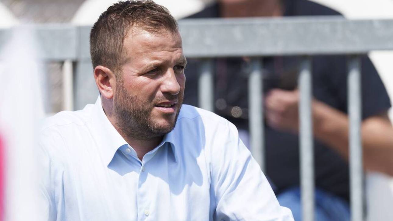 Neuer Job für van der Vaart