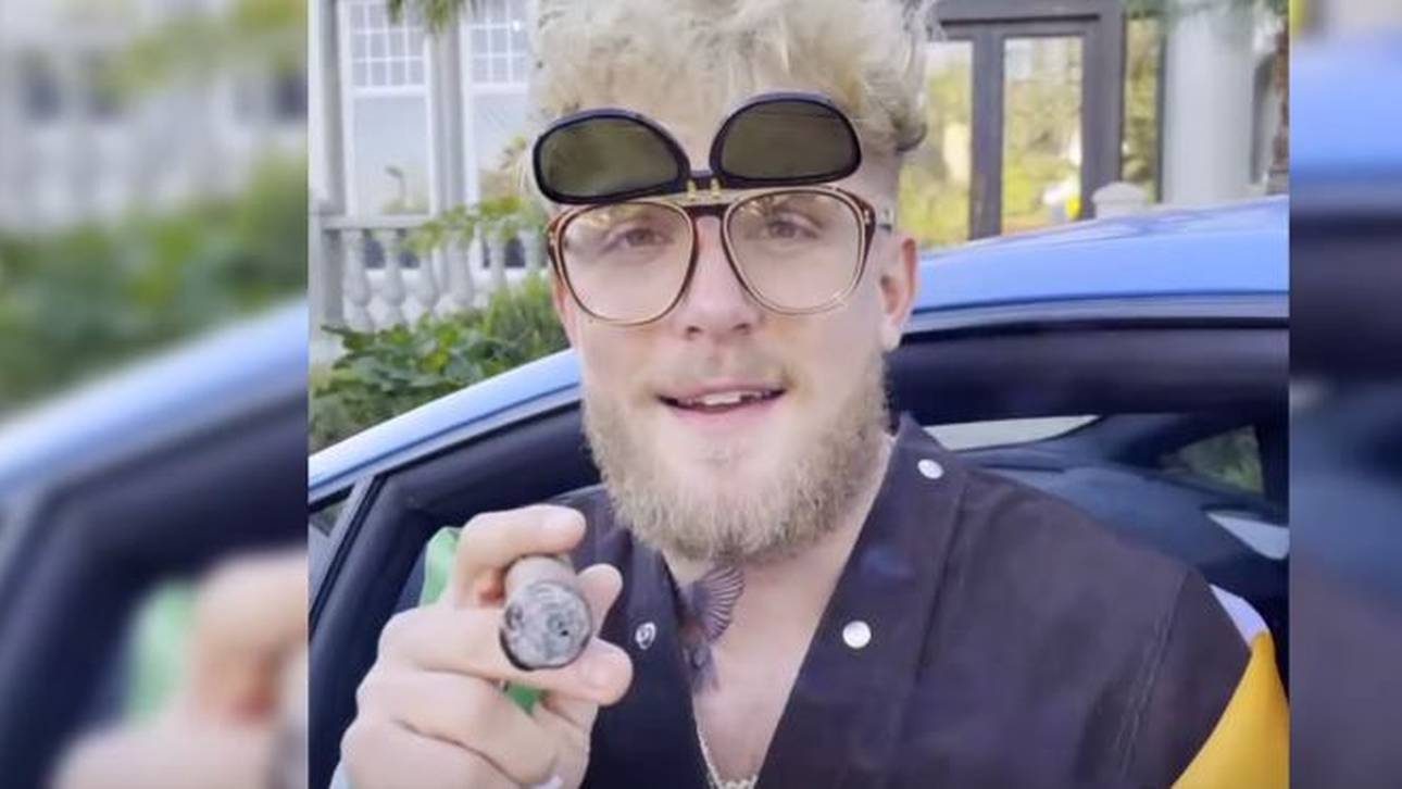 YouTuber bietet McGregor 50 Mio.