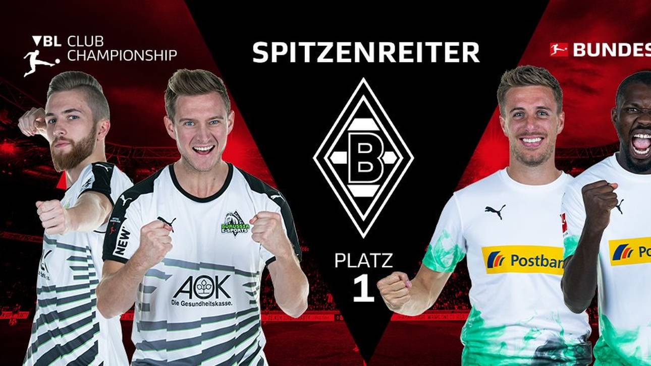 Die Fohlen an der Spitze der VBLCC