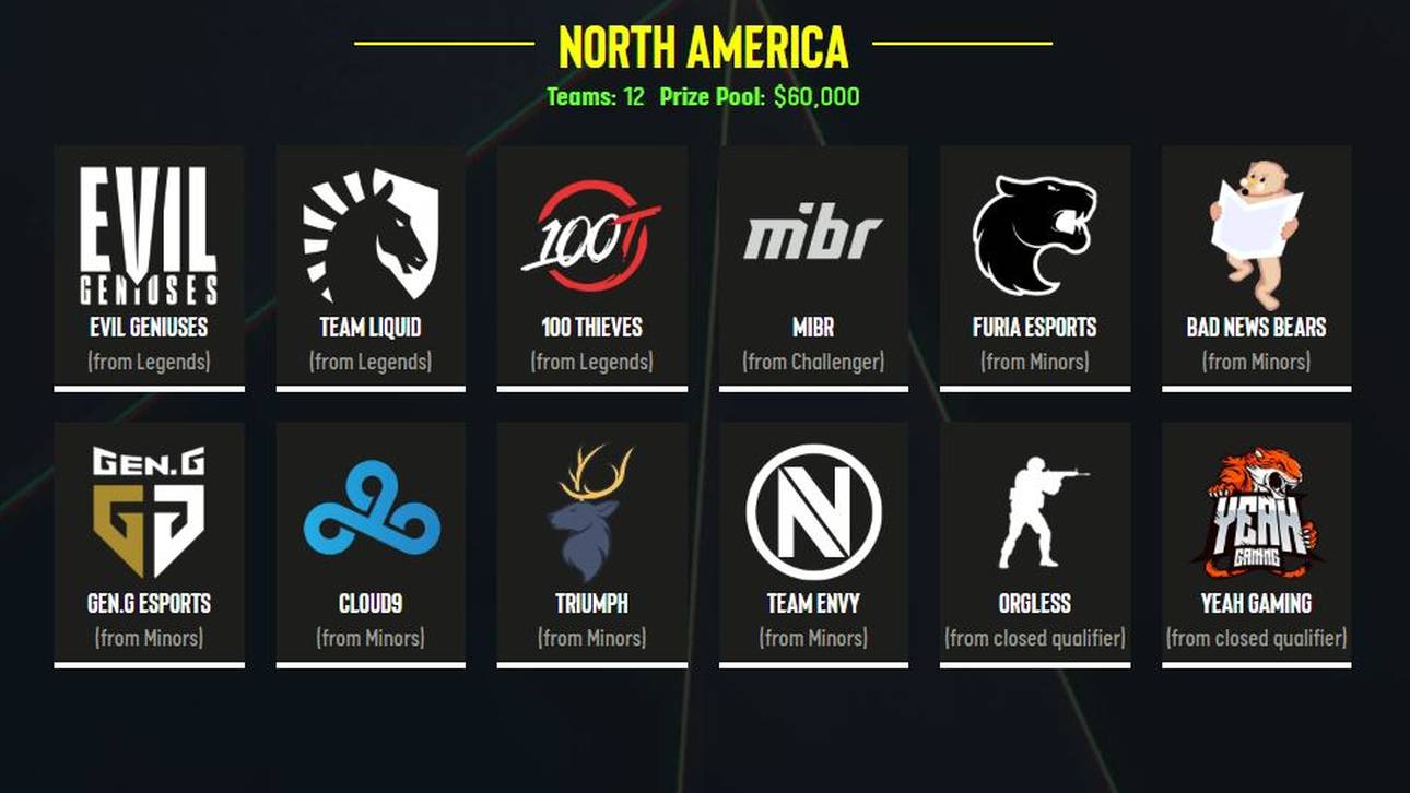 Diese Zwölf Teams gingen bei der Nordamerika Road to Rio an den Start.