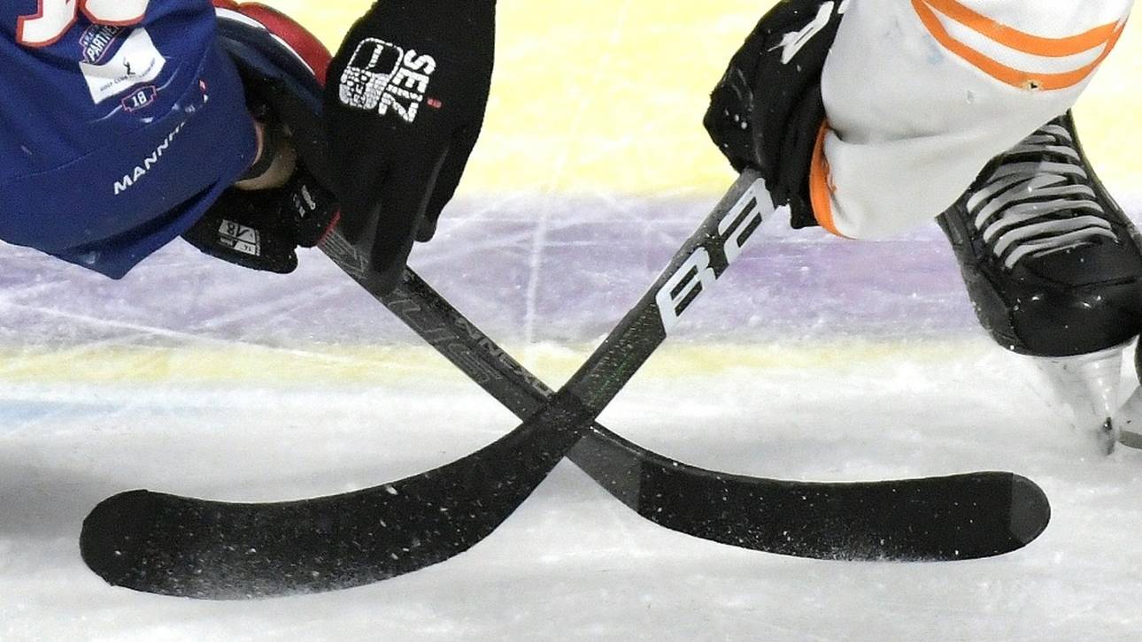 DEL: Steelers holen neuen Trainer