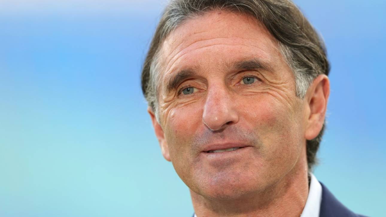 Stuttgart siegt bei Labbadia-Debüt