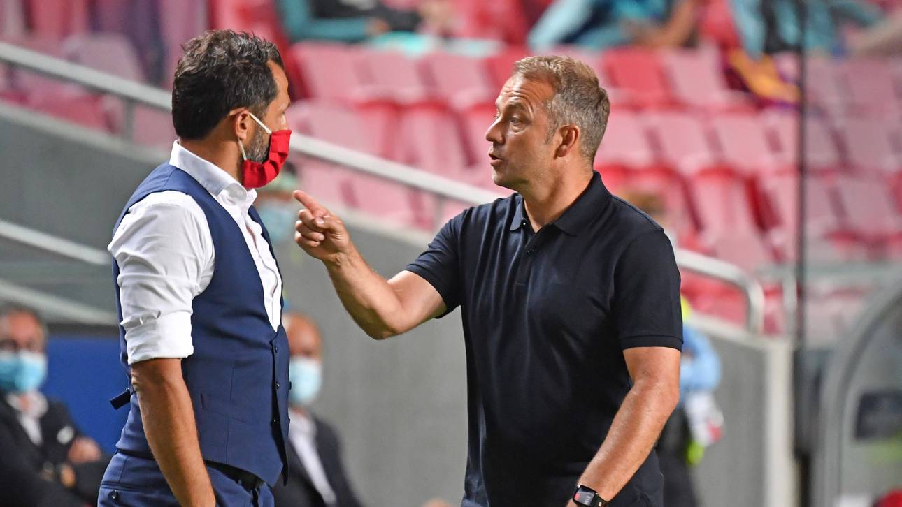 Wann findet Salihamidzic Lösungen?